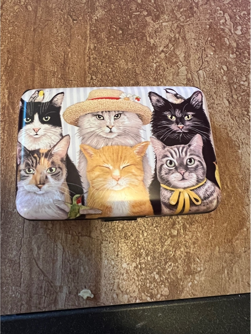Mary Lake-Thompson Armored Wallet with Cat Design